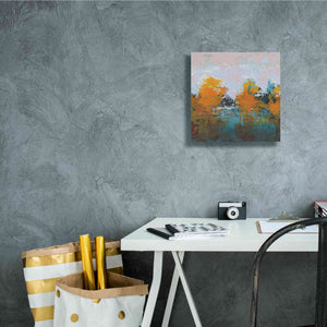 'Blackrath Light' by Grainne Dowling, Canvas Wall Art,12 x 12