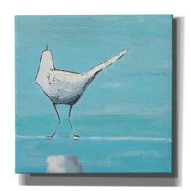 'Egret II' by Phyllis Adams, Canvas Wall Art