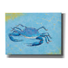 'Blue Crab V' by Phyllis Adams, Canvas Wall Art