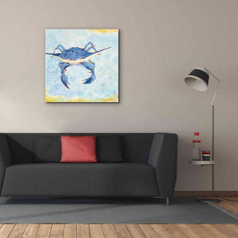 Image of 'Blue Crab VI' by Phyllis Adams, Canvas Wall Art,37 x 37