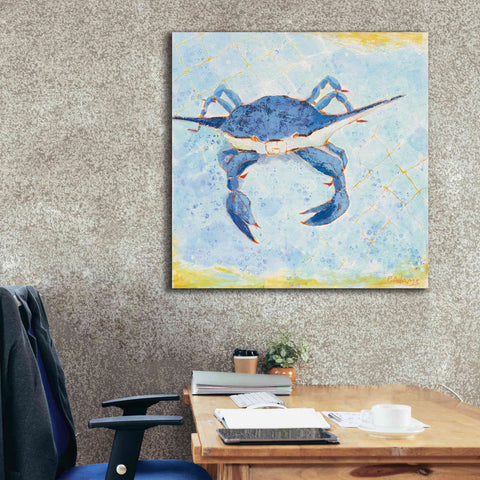Image of 'Blue Crab VI' by Phyllis Adams, Canvas Wall Art,37 x 37