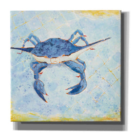 'Blue Crab VI' by Phyllis Adams, Canvas Wall Art