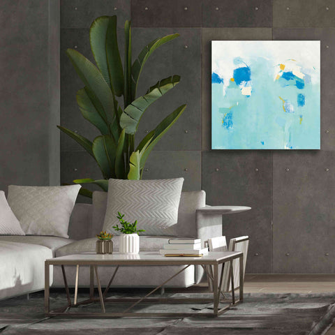 Image of 'Splash' by Phyllis Adams, Canvas Wall Art,37 x 37
