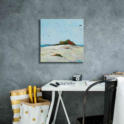 Image of 'Fall Dune' by Phyllis Adams, Canvas Wall Art,18 x 18