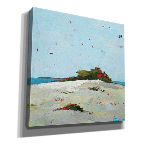 Image of 'Fall Dune' by Phyllis Adams, Canvas Wall Art
