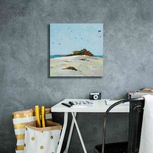 'Splash Pink' by Phyllis Adams, Canvas Wall Art,18 x 18