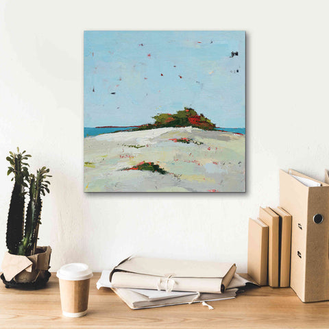 Image of 'Splash Pink' by Phyllis Adams, Canvas Wall Art,18 x 18
