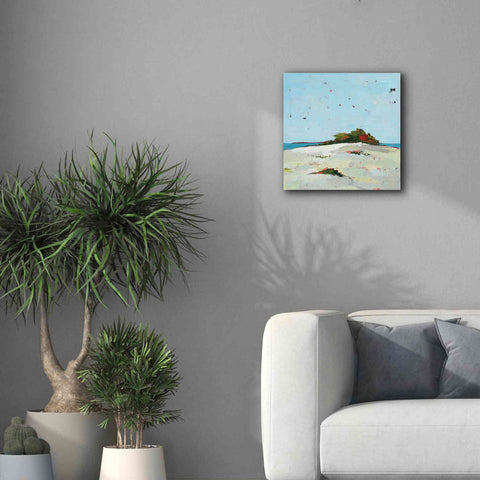 Image of 'Splash Pink' by Phyllis Adams, Canvas Wall Art,18 x 18