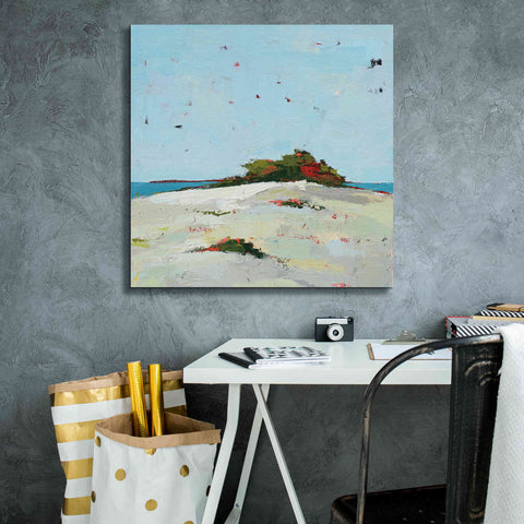 Image of 'Splash Pink' by Phyllis Adams, Canvas Wall Art,26 x 26