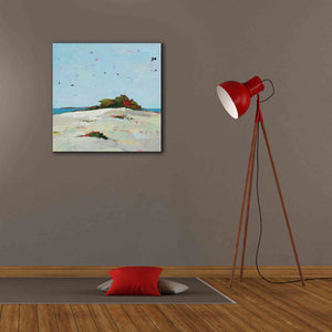 'Splash Pink' by Phyllis Adams, Canvas Wall Art,26 x 26