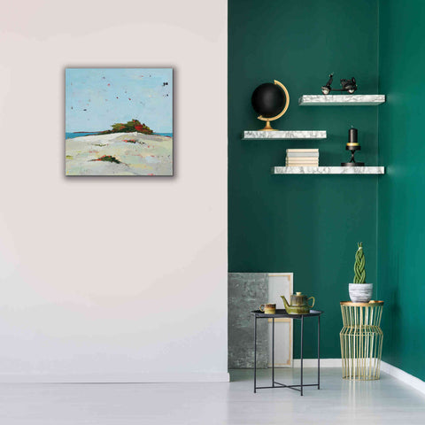 Image of 'Splash Pink' by Phyllis Adams, Canvas Wall Art,26 x 26