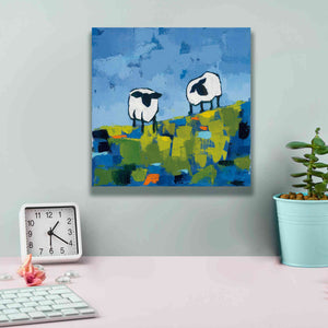 'Two Sheep' by Phyllis Adams, Canvas Wall Art,12 x 12