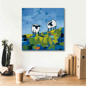 'Two Sheep' by Phyllis Adams, Canvas Wall Art,18 x 18
