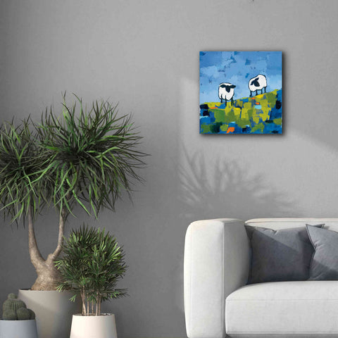 Image of 'Two Sheep' by Phyllis Adams, Canvas Wall Art,18 x 18