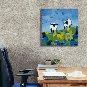 'Two Sheep' by Phyllis Adams, Canvas Wall Art,26 x 26