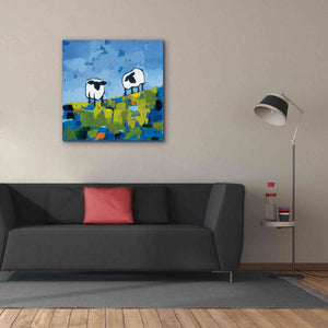 'Two Sheep' by Phyllis Adams, Canvas Wall Art,37 x 37