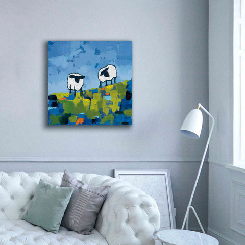 Image of 'Two Sheep' by Phyllis Adams, Canvas Wall Art,37 x 37