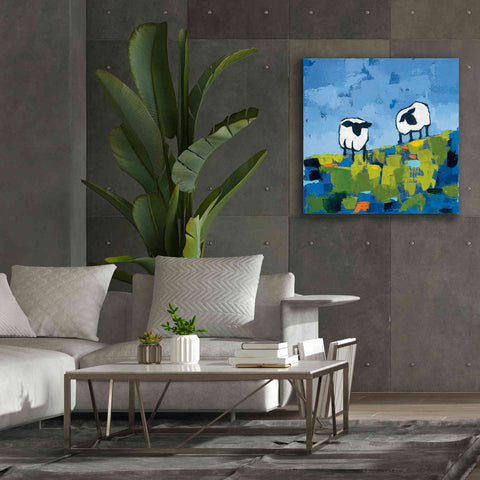 Image of 'Two Sheep' by Phyllis Adams, Canvas Wall Art,37 x 37