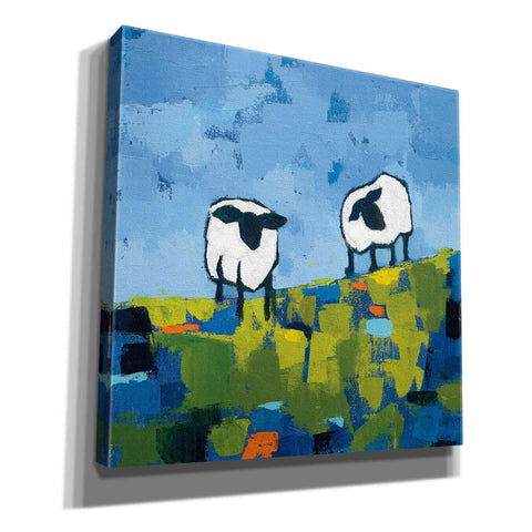 Image of 'Two Sheep' by Phyllis Adams, Canvas Wall Art