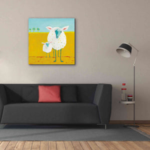 'Mama and Baby Sheep' by Phyllis Adams, Canvas Wall Art,37 x 37