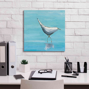 'The Strutter on White' by Phyllis Adams, Canvas Wall Art,18 x 18