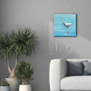 'The Strutter on White' by Phyllis Adams, Canvas Wall Art,18 x 18