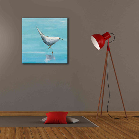 Image of 'The Strutter on White' by Phyllis Adams, Canvas Wall Art,26 x 26