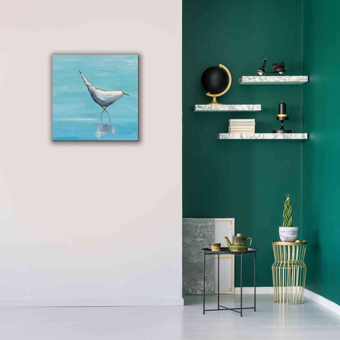 Image of 'The Strutter on White' by Phyllis Adams, Canvas Wall Art,26 x 26
