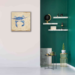 'Blue Crab VI Neutral' by Phyllis Adams, Canvas Wall Art,26 x 26