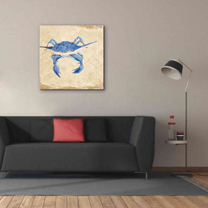 'Blue Crab VI Neutral' by Phyllis Adams, Canvas Wall Art,37 x 37