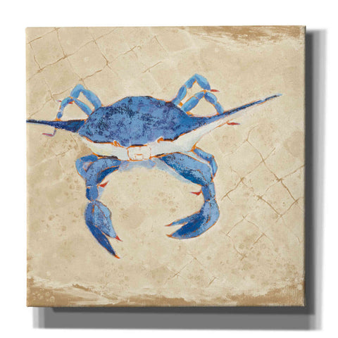 Image of 'Blue Crab VI Neutral' by Phyllis Adams, Canvas Wall Art