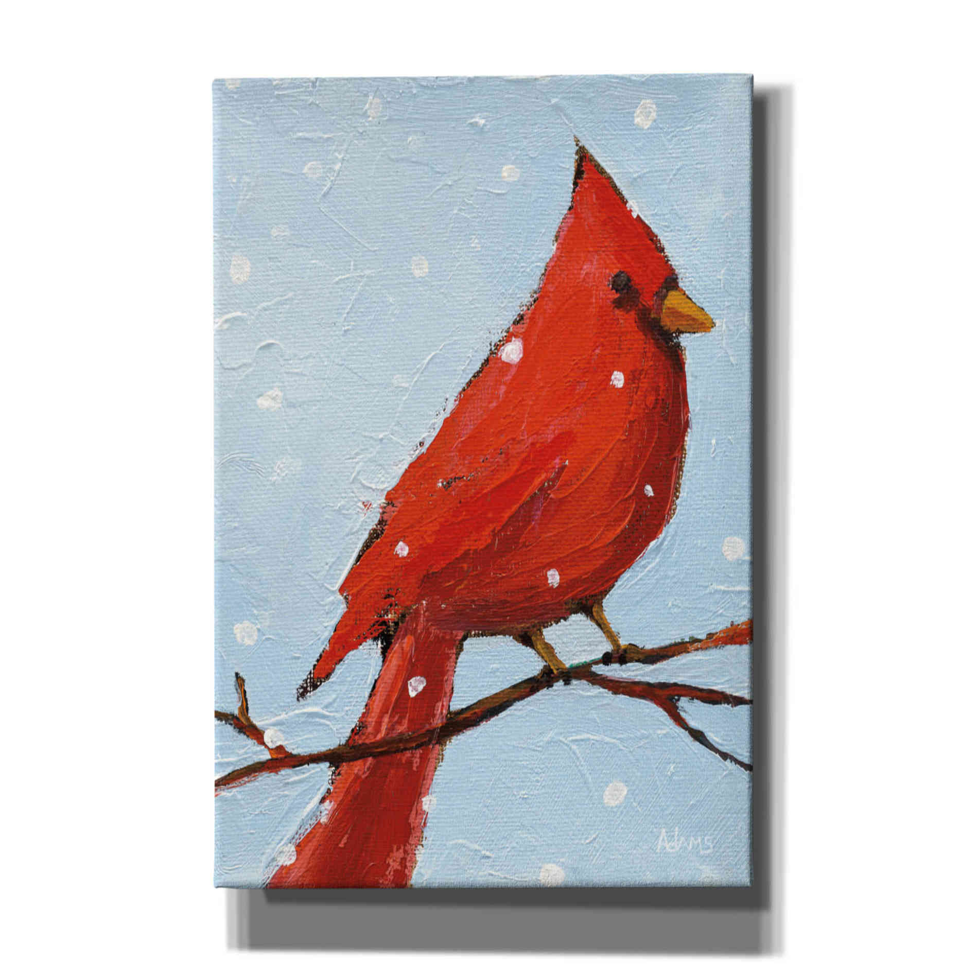 'Cardinal I' by Phyllis Adams, Canvas Wall Art