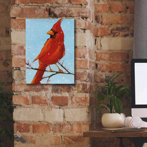 'Cardinal II' by Phyllis Adams, Canvas Wall Art,12 x 16