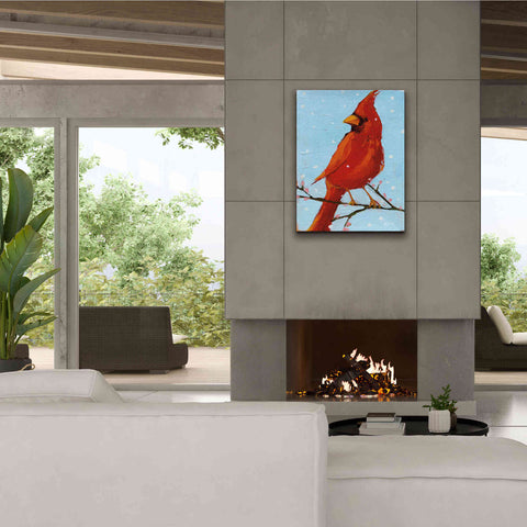 Image of 'Cardinal II' by Phyllis Adams, Canvas Wall Art,26 x 34