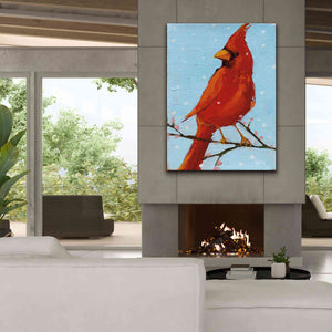 'Cardinal II' by Phyllis Adams, Canvas Wall Art,40 x 54