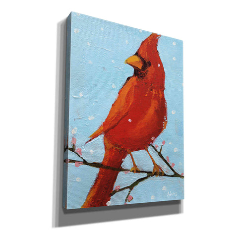 Image of 'Cardinal II' by Phyllis Adams, Canvas Wall Art