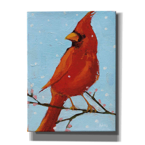Image of 'Cardinal II' by Phyllis Adams, Canvas Wall Art