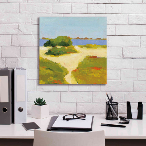 Image of 'Path to the Beach' by Phyllis Adams, Canvas Wall Art,18 x 18