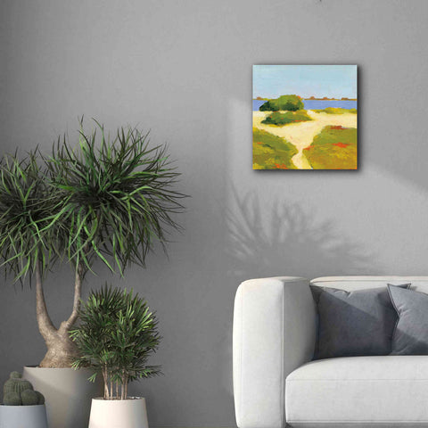 Image of 'Path to the Beach' by Phyllis Adams, Canvas Wall Art,18 x 18