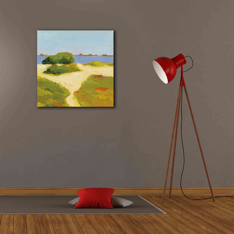 Image of 'Path to the Beach' by Phyllis Adams, Canvas Wall Art,26 x 26