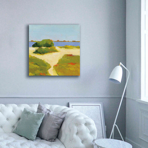 Image of 'Path to the Beach' by Phyllis Adams, Canvas Wall Art,37 x 37
