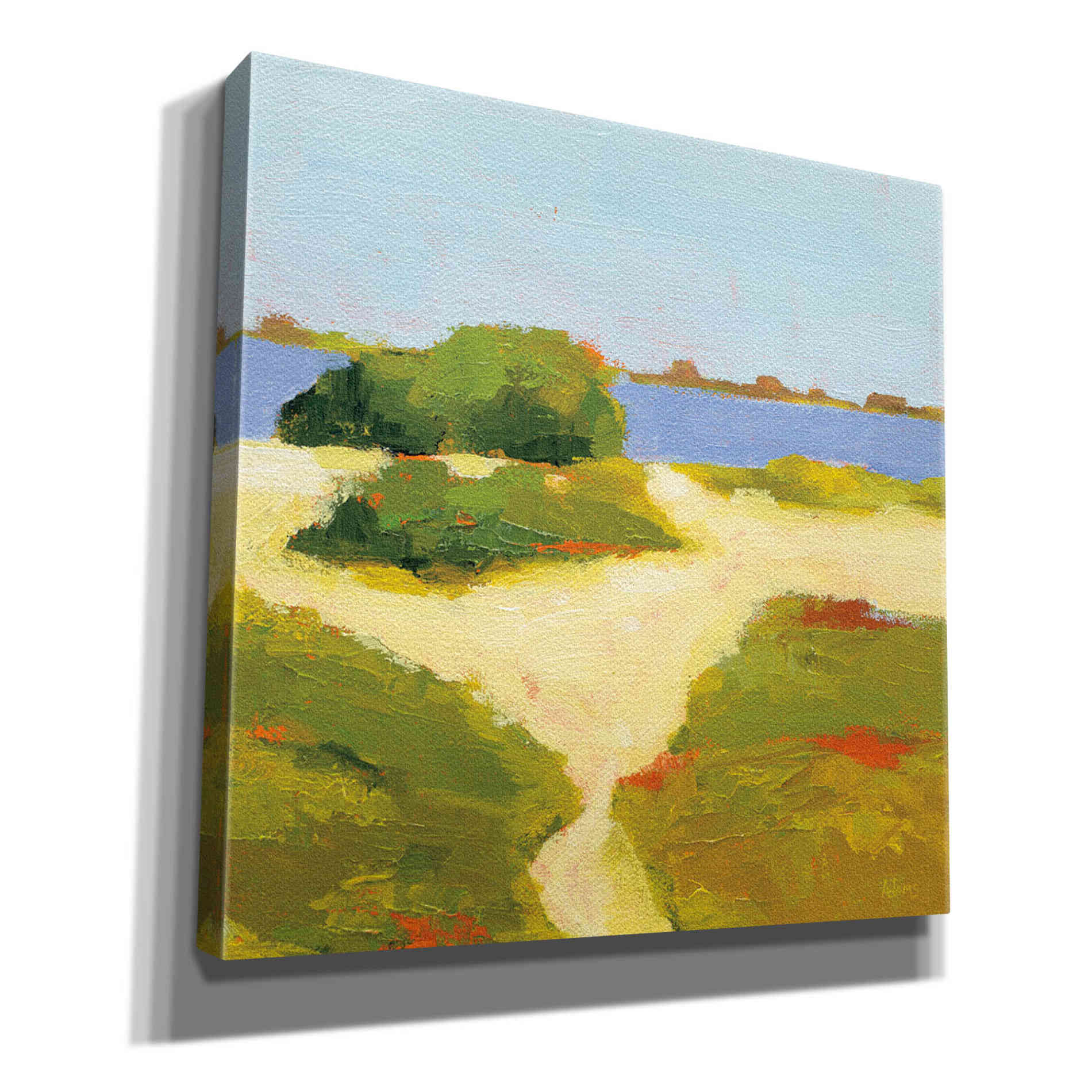 'Path to the Beach' by Phyllis Adams, Canvas Wall Art