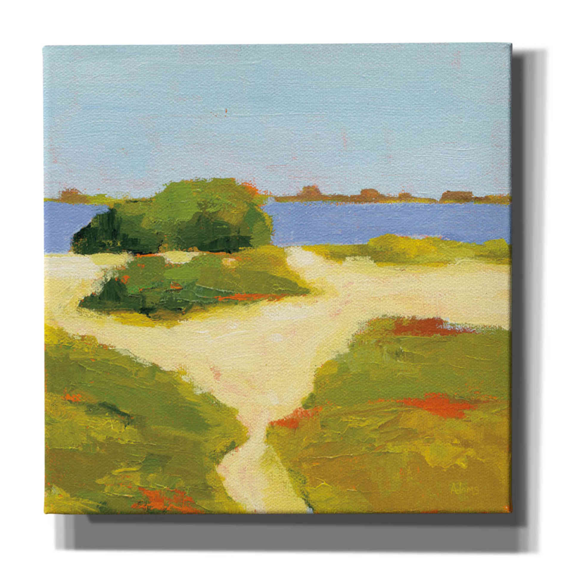 'Path to the Beach' by Phyllis Adams, Canvas Wall Art