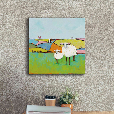 Image of 'Sheep in the Meadow II' by Phyllis Adams, Canvas Wall Art,18 x 18