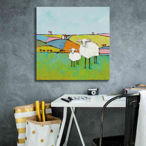 Image of 'Sheep in the Meadow II' by Phyllis Adams, Canvas Wall Art,26 x 26
