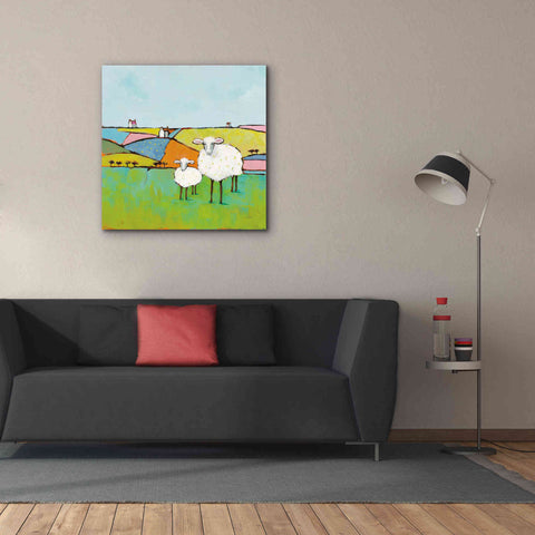 Image of 'Sheep in the Meadow II' by Phyllis Adams, Canvas Wall Art,37 x 37