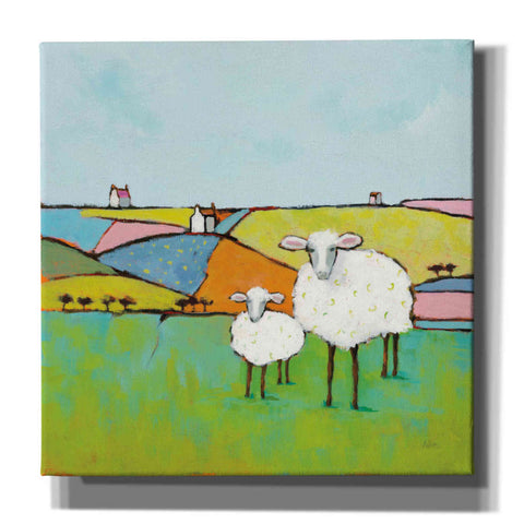 Image of 'Sheep in the Meadow II' by Phyllis Adams, Canvas Wall Art