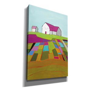 'Field of Dreams' by Phyllis Adams, Canvas Wall Art