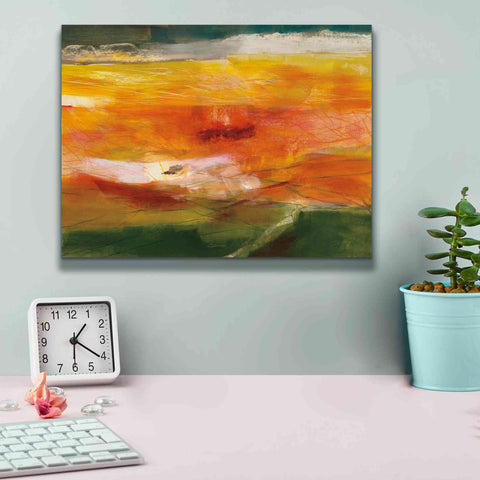 Image of 'Bog Journey' by Jo Maye, Canvas Wall Art,16 x 12