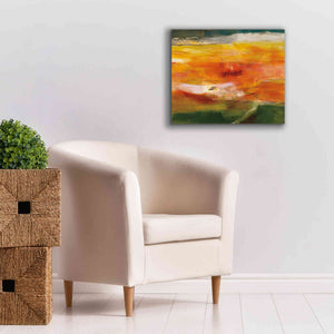 'Bog Journey' by Jo Maye, Canvas Wall Art,24 x 20